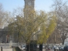 dscn2229
