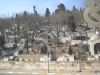 dscn2272
