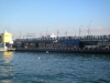dscn2310