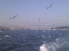 imag0116