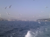 imag0117