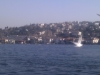 imag0127