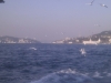 imag0133