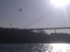 imag0134