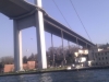 imag0140