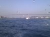 imag0145