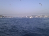 imag0146