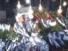 imag0167
