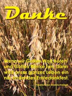 Erntedank in unseren Kirchengemeinden