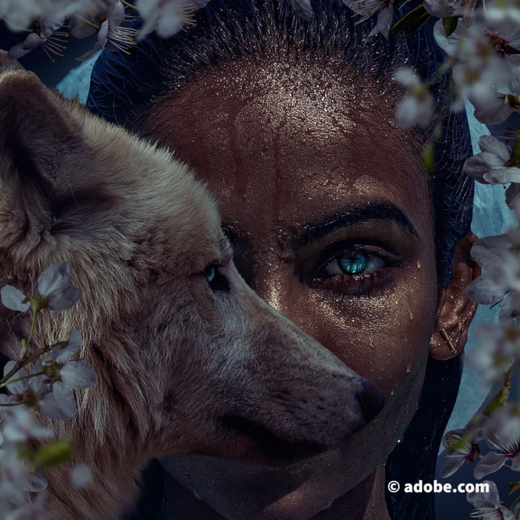 Der Mensch ist dem Menschen ein Wolf — Das Tagebuch von PfarrerB