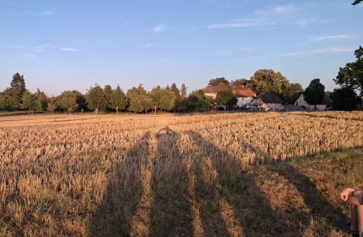 Der Wandel des Dorfes in der ländlichen Region und seine Zukunft